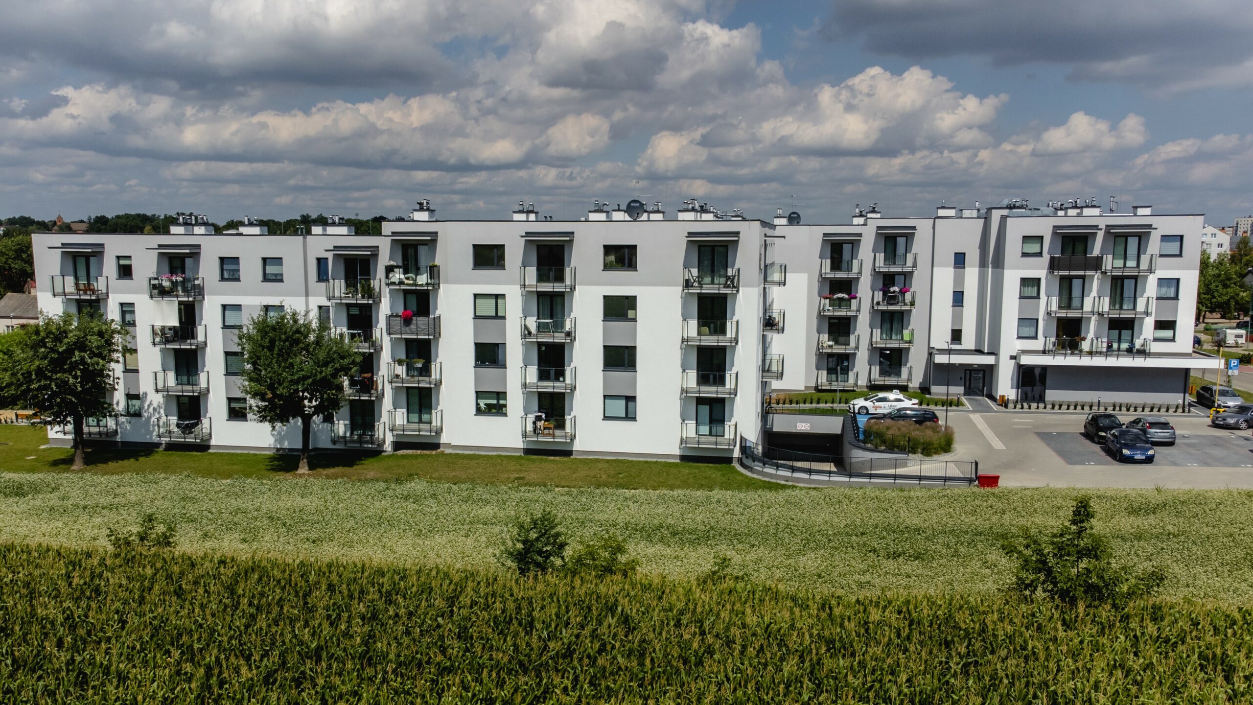 UL. ŚW. BRATA ALBERTA 6